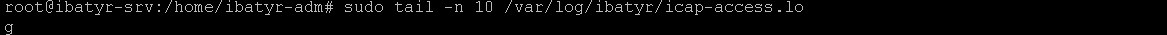 ../_images/icap_logs.png